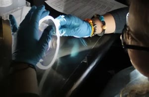 Optical Coating Capabilities