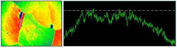 role-surface-roughness-optical-performance.Fig2