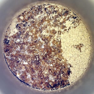 Perseverance’s ‘Bunsen Peak’ Sample